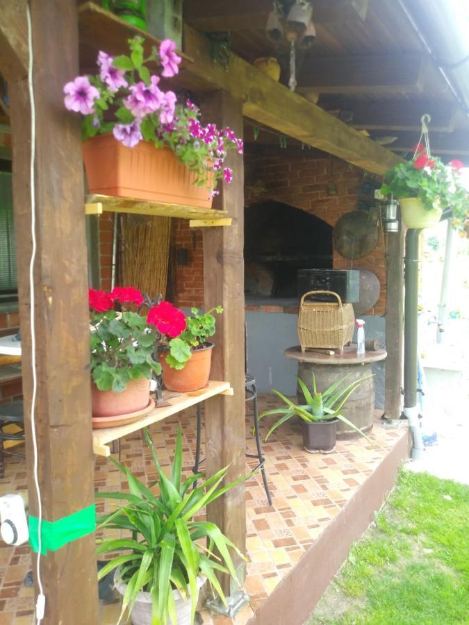 Ribarska Vila Donje Lohovo 외부 사진